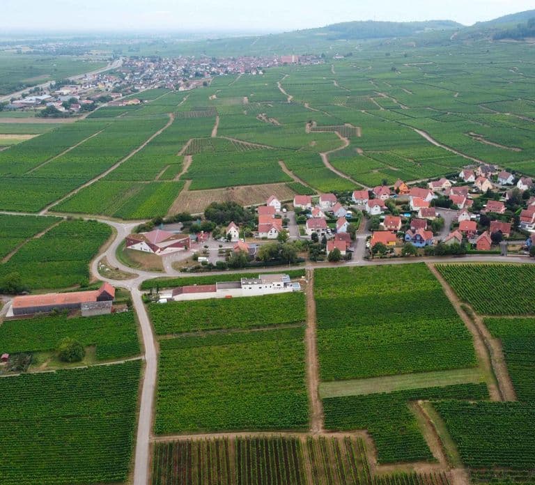 Cellar visit and Alsace wine tasting with a feminine touch