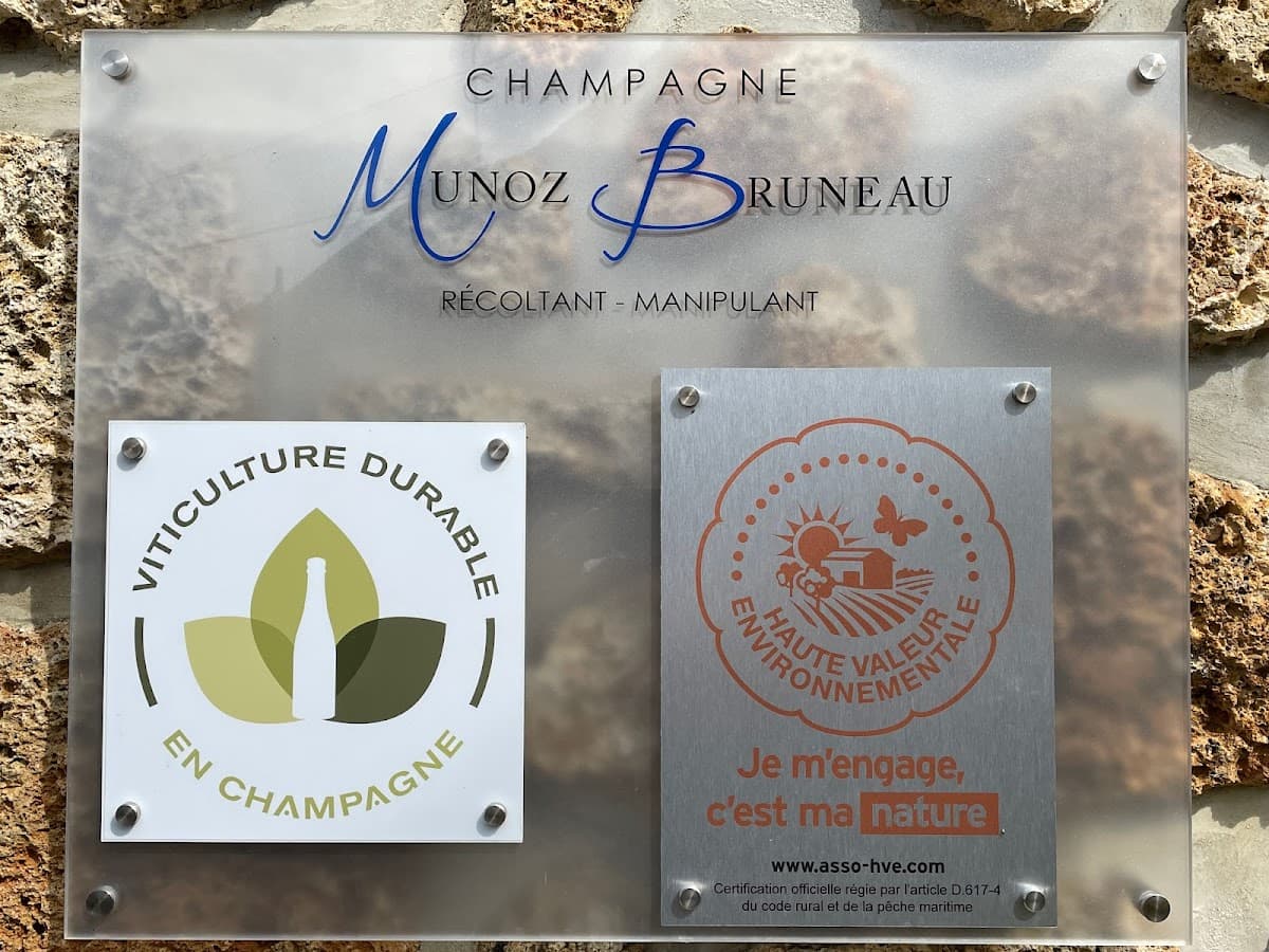 Champagne Munoz Bruneau : 반나절 방문 및 시음