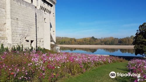 Château de Montsoreau-Museum of Contemporary Art