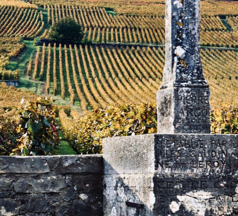 Côte de Nuits: Excursie in het hart van de wijngaarden