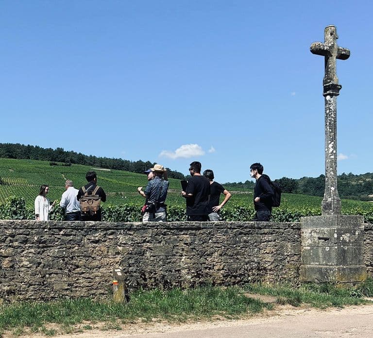 Côte de Nuits: Excursie in het hart van de wijngaarden