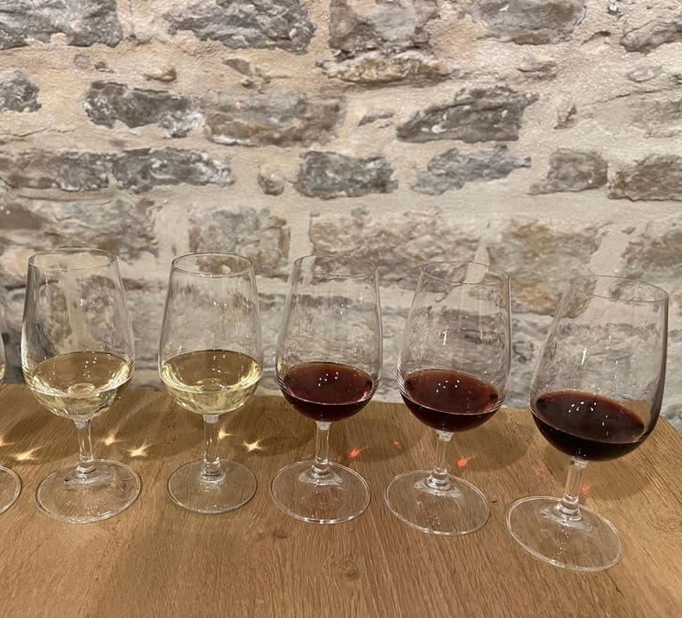 Digione: Workshop di degustazione di formaggi e vini della Borgogna