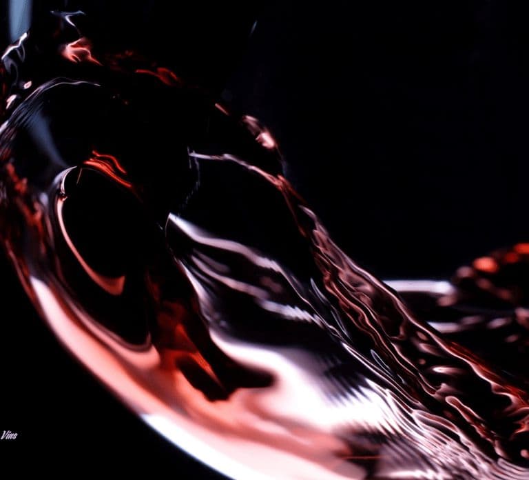 Digione: esperienza di degustazione di vini, formaggi e tesori della Borgogna