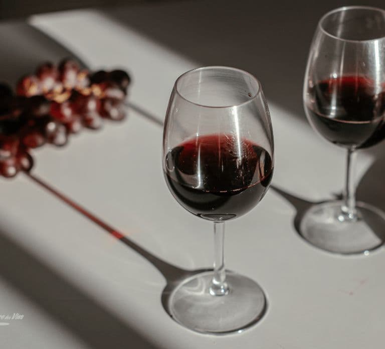 Digione: esperienza di degustazione di vini, formaggi e tesori della Borgogna