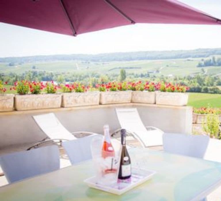 Domaine Bacchus : vignoble miniature et dégustation de Champagne