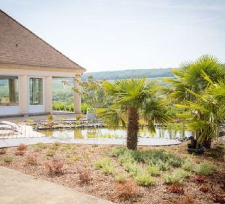 Domaine Bacchus : vignoble miniature et dégustation de Champagne