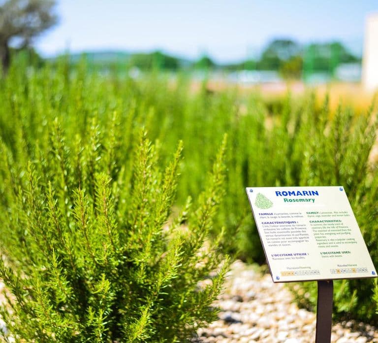 Manosque: Wycieczka z przewodnikiem po fabryce L'Occitane en Provence