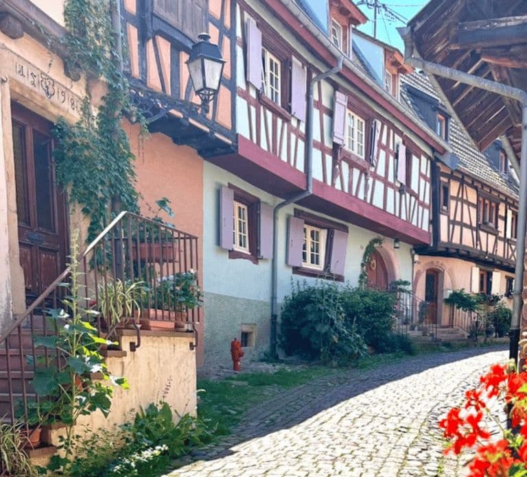 Eguisheim: wejdź do legendarnego kręgu. Piesza wycieczka z przewodnikiem