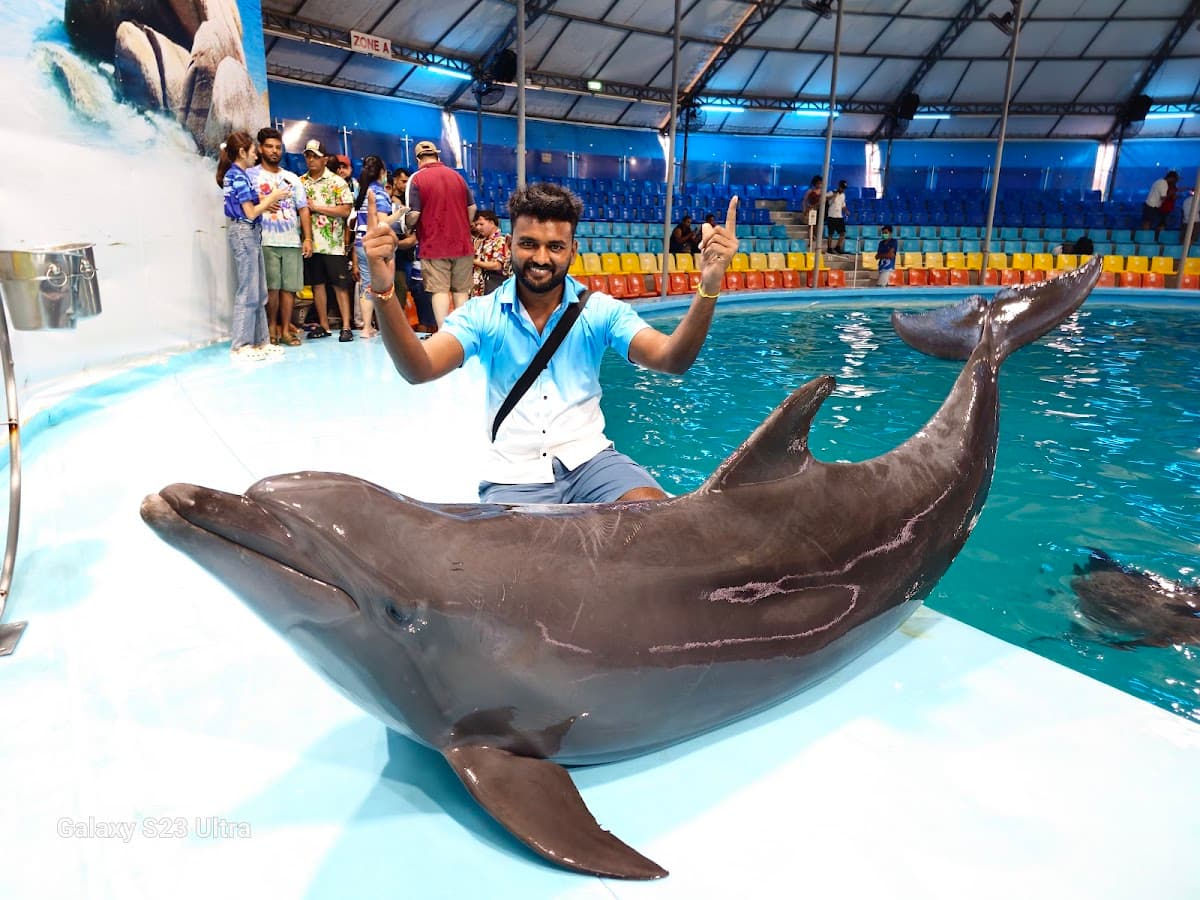 Dolphins Bay Phuket