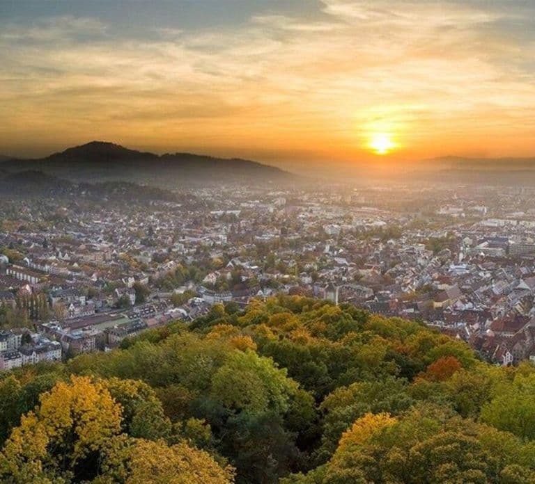 Freiburg: Bus transfer from/to Basel Euro Airport