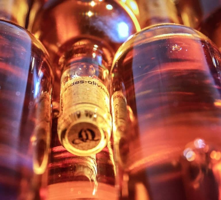 Fréjus: Cave tour and wine tasting