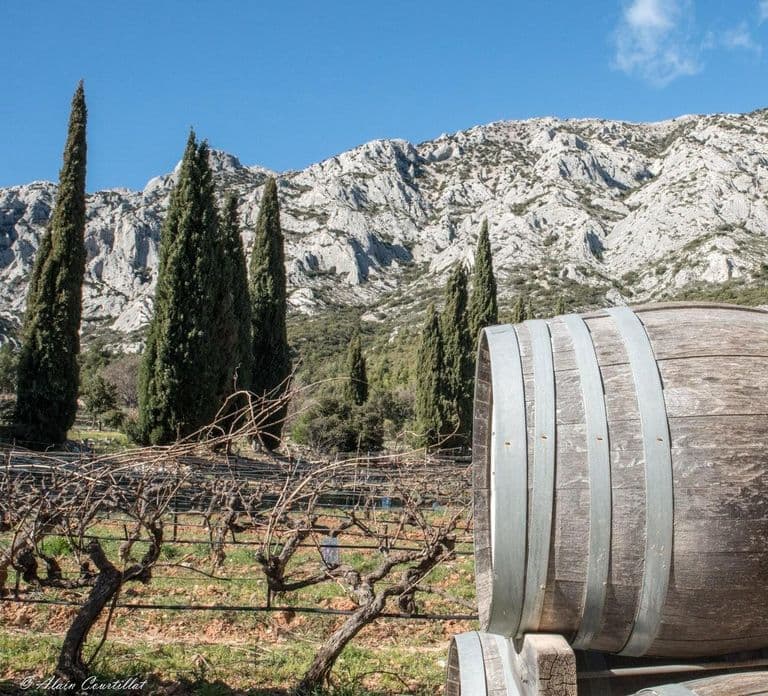 From Aix-en-Provence: 2-Hour Wine & Scenery Sidecar Tour