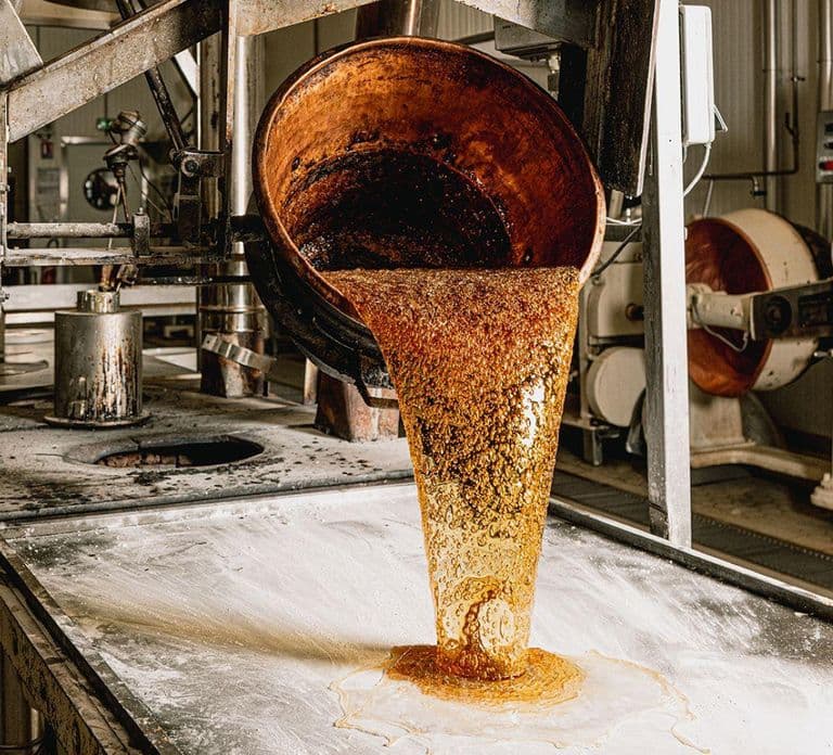 Guided tour of the chocolate factory and tasting in Trèbes