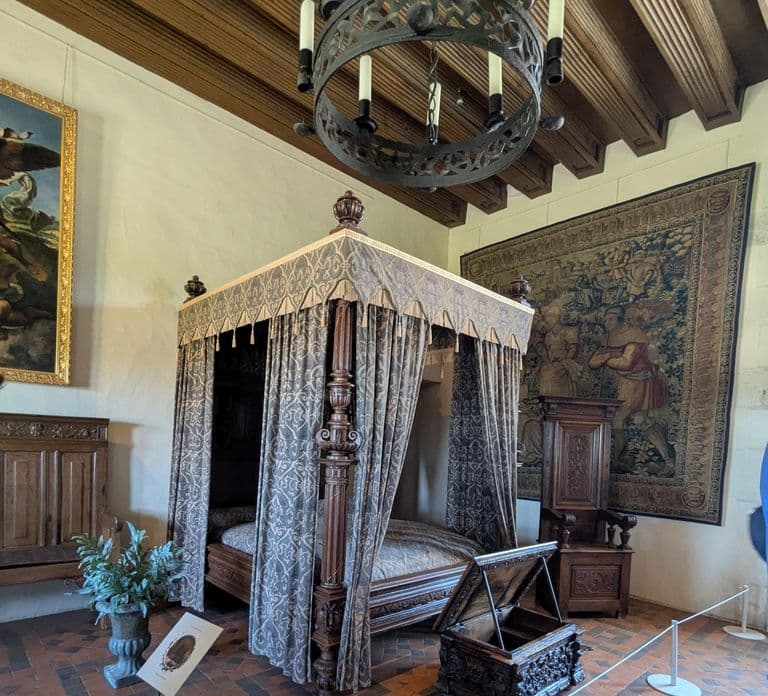 Rondleiding door het koninklijk kasteel van Amboise