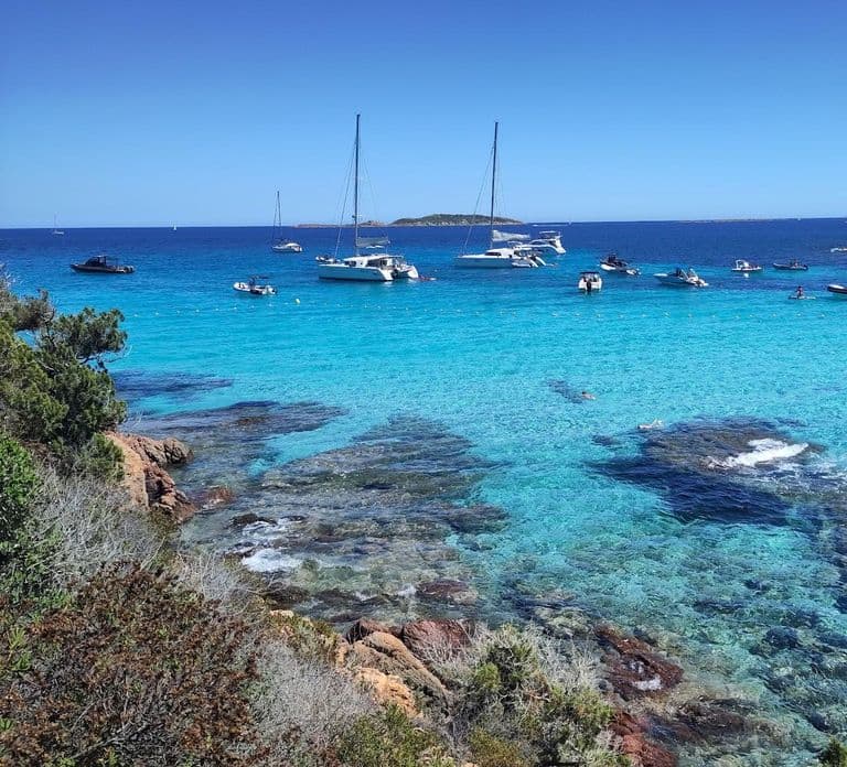 Mezza giornata: pomeriggio di relax sulle isole Lavezzi e Cavallo