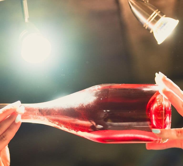 Heart of the Valley: Tour of the Estate and Tasting of 4 champagnes