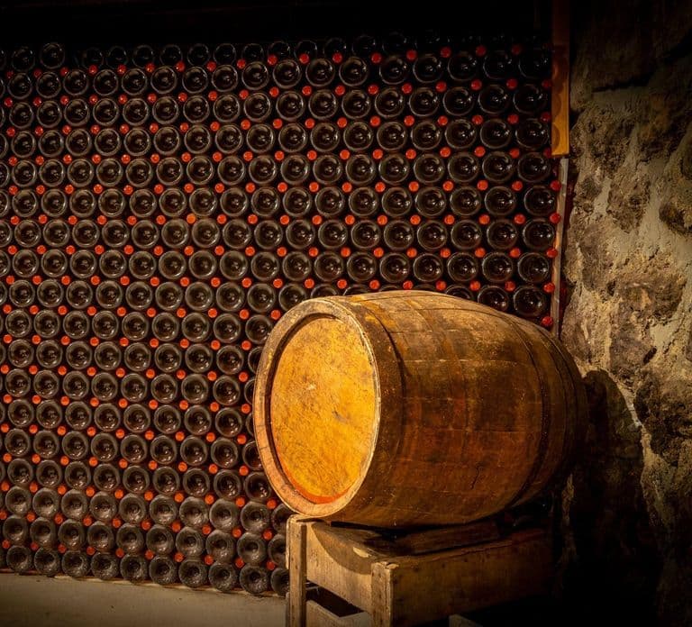 Heart of the Valley: Tour della tenuta e degustazione di 4 champagne