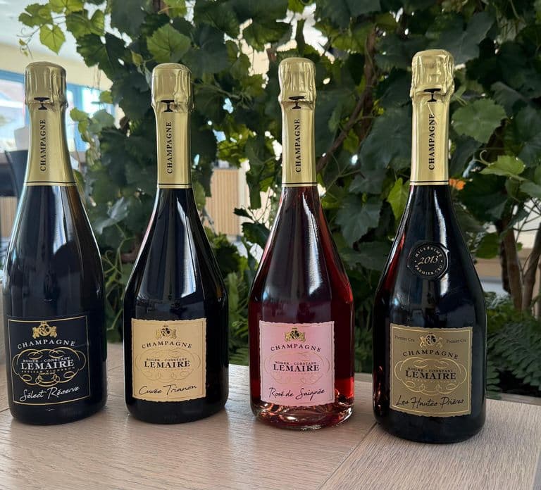 Heart of the Valley: Rondleiding over het landgoed en proeverij van 4 champagnes