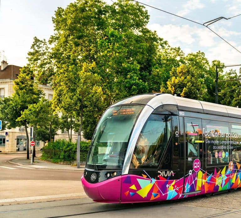 Hello Dijon: Caminhada Introdutória Privada de 2 Horas pela Cidade com Guia Local