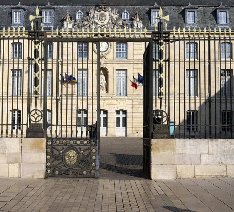 Hello Dijon: Caminhada Introdutória Privada de 2 Horas pela Cidade com Guia Local