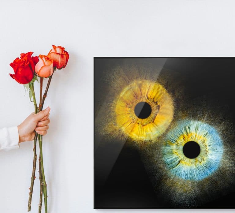 Metz: Your professional iris photography with framed print