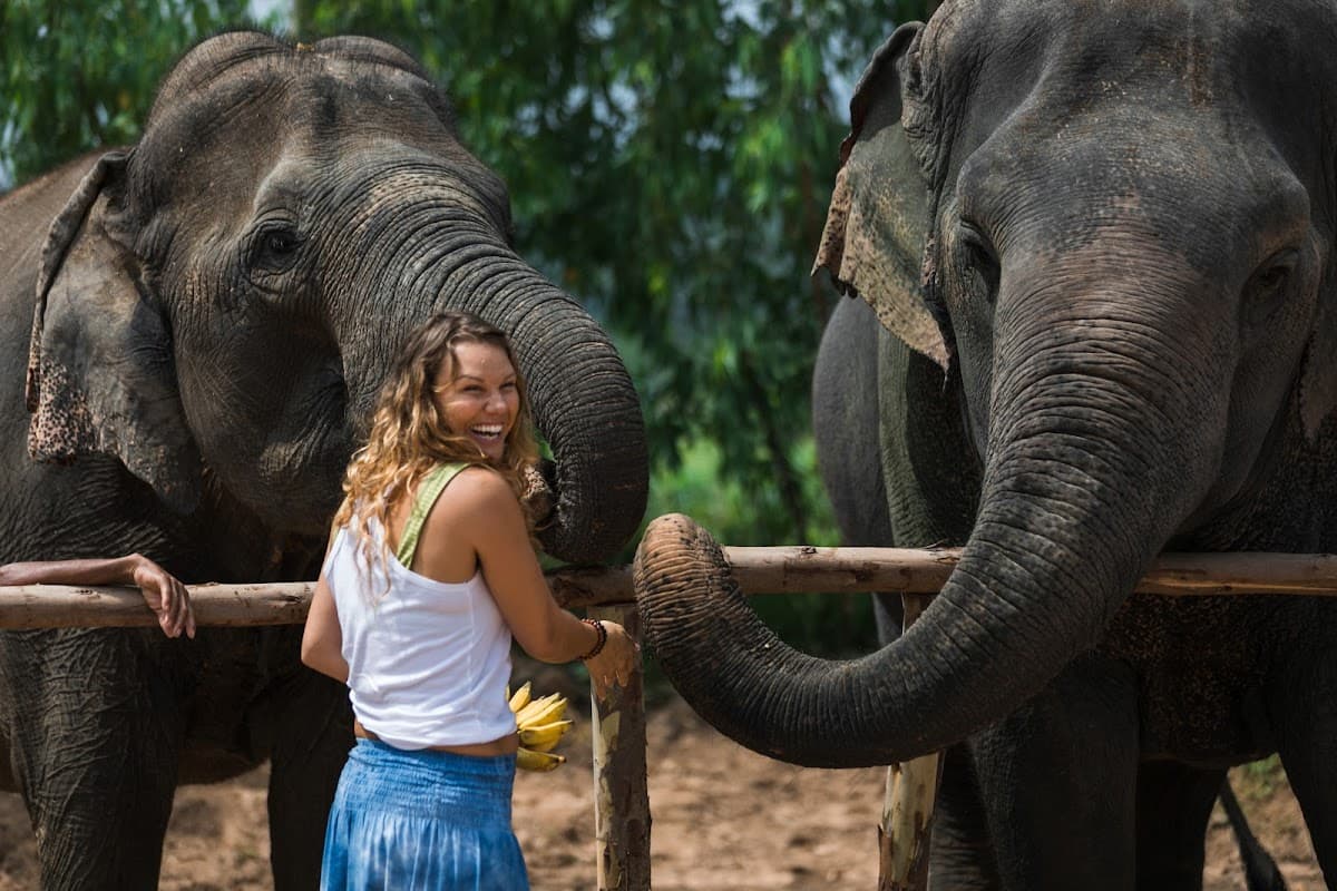 Elephant Jungle Sanctuary - Pattaya