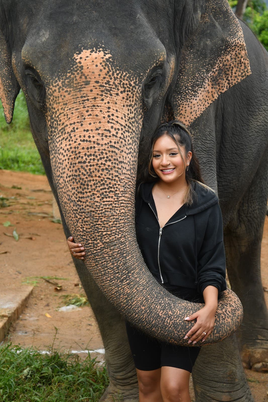 Elephant Jungle Sanctuary - Phuket