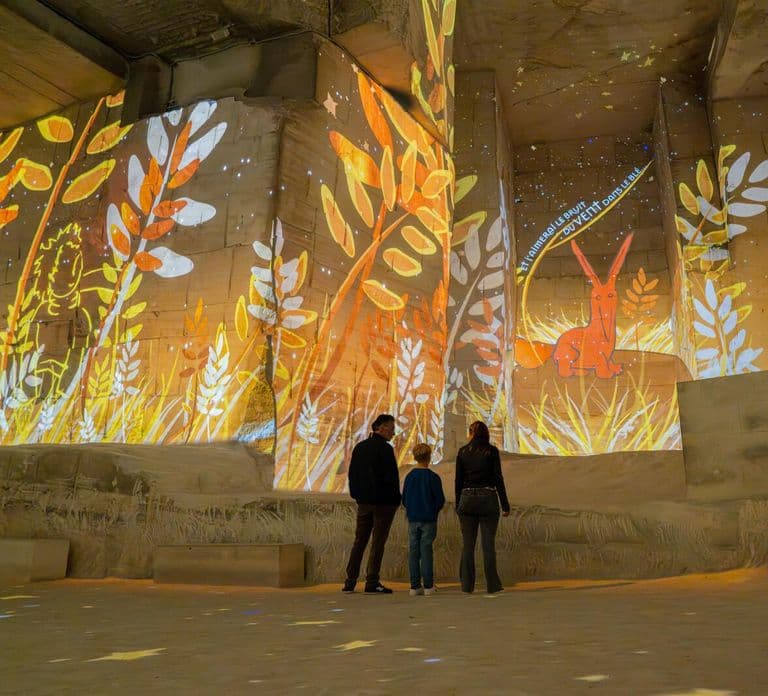 Les Baux-de-Provence: biglietto d'ingresso per Carrières des Lumières - Il Piccolo Principe