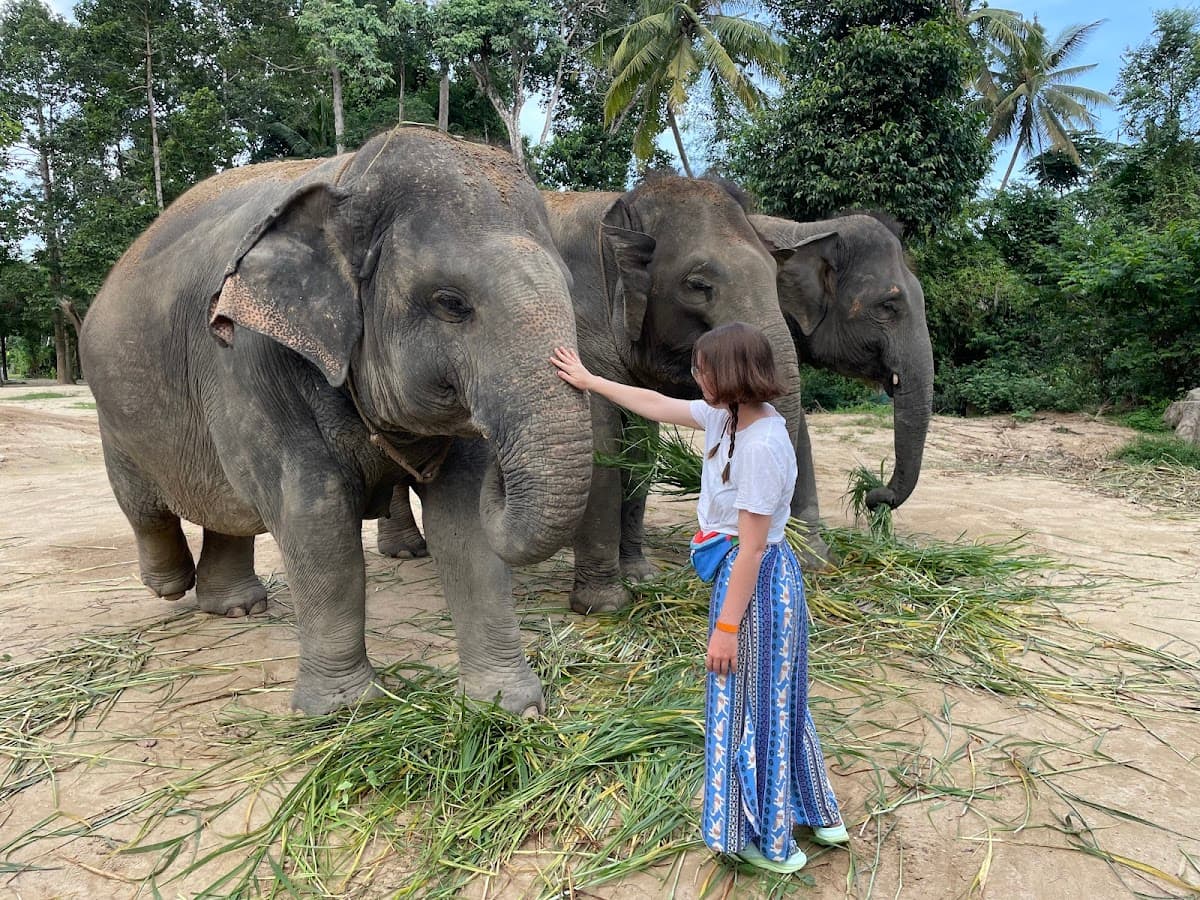 Elephant Jungle Sanctuary - Samui