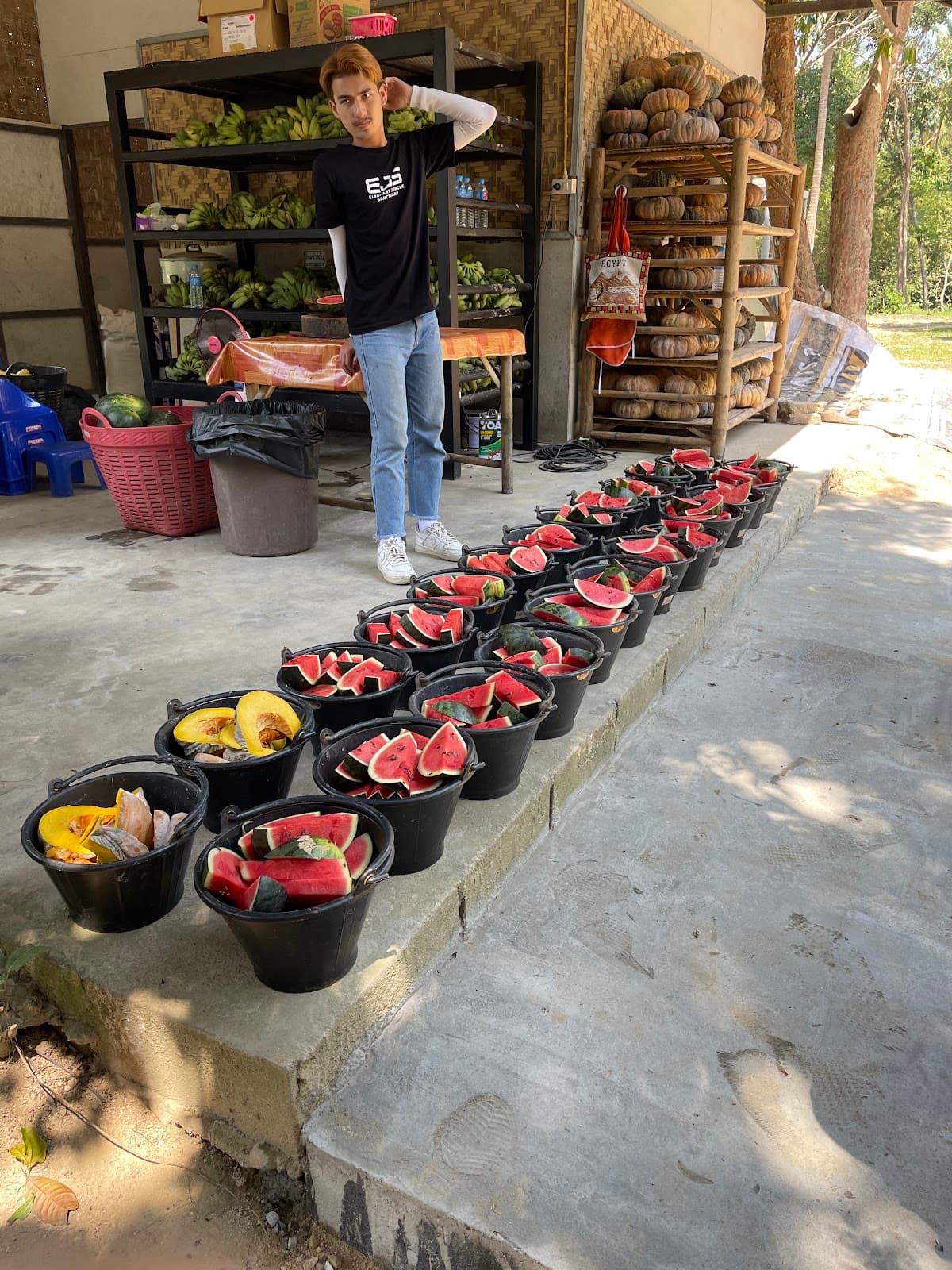 Elephant Jungle Sanctuary - Samui