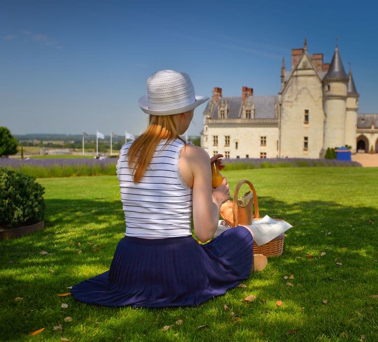 Loire Valley: Château Royal d'Amboise Entrance Ticket