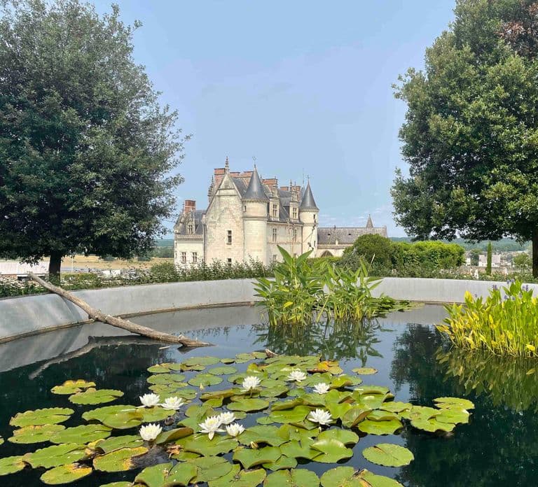 Vale do Loire: Ingresso para o Château Royal d'Amboise