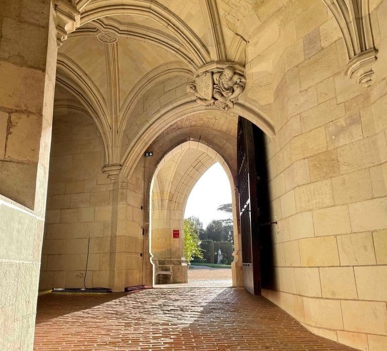 Vale do Loire: Ingresso para o Château Royal d'Amboise