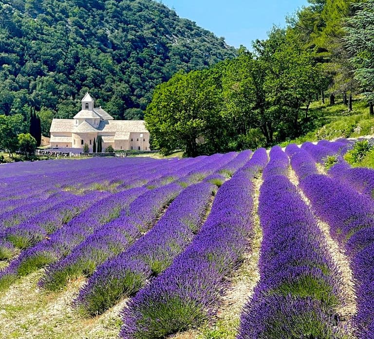 Luberon, Roussillon & Gordes Half-Day Tour from Avignon