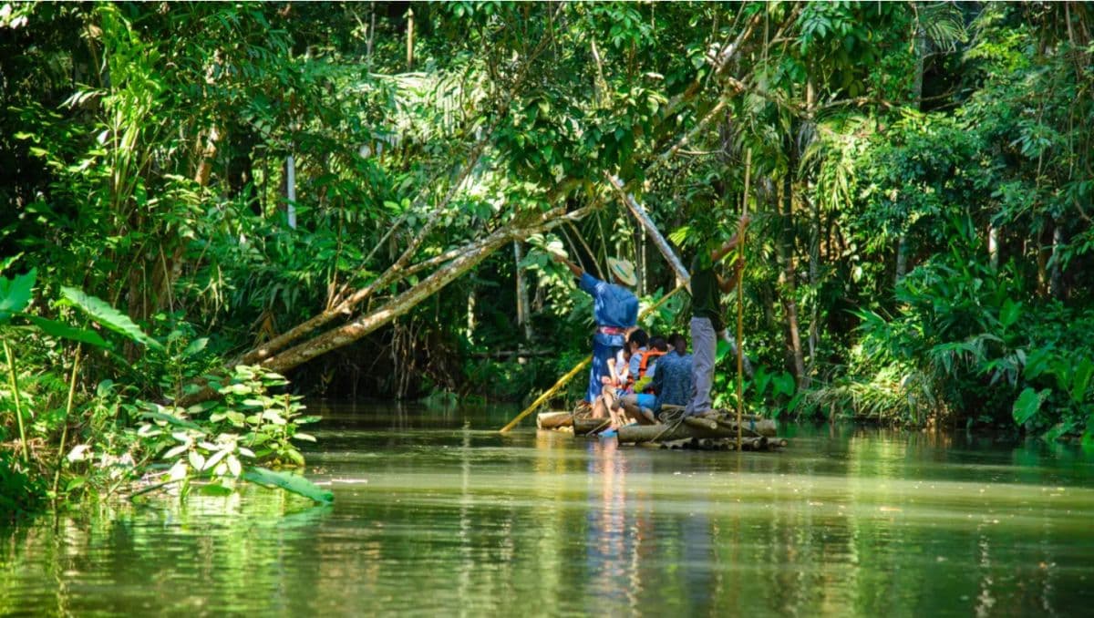 Enjoy Chiang Mai Bamboo Rafting Along the Mae Wang River