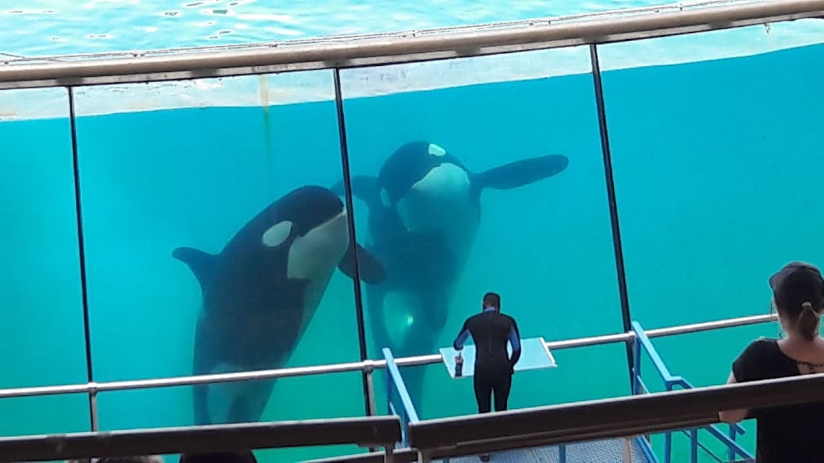 Marineland Côte d'Azur