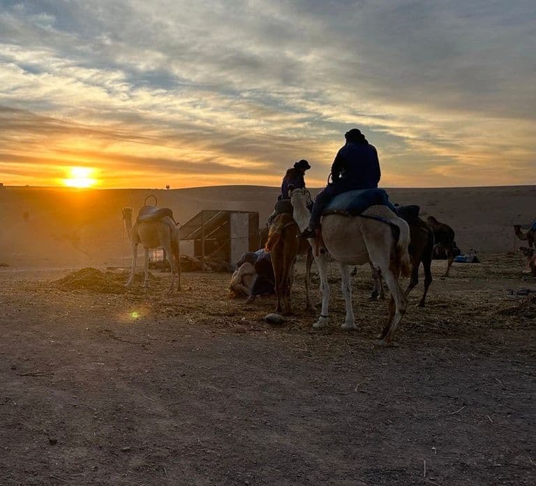 Marrakech: Buggy 1000cc Agafay Desert Adventure with Guide
