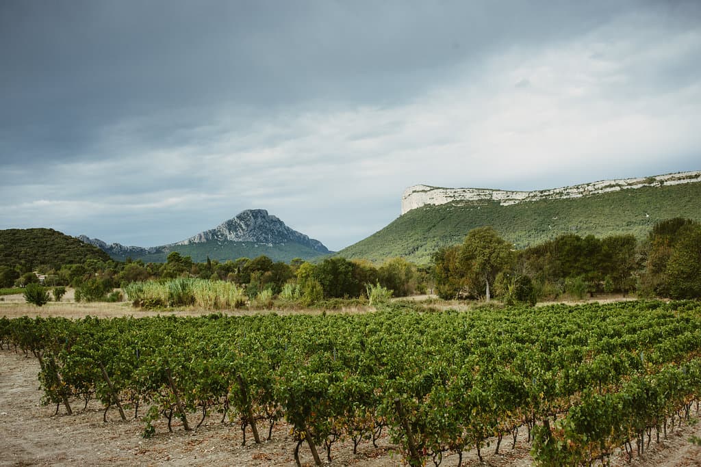 Montpellier: Pic Saint-Loup Wine Tour