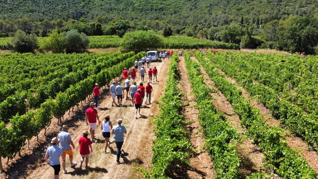Montpellier: Pic Saint-Loup Wine Tour