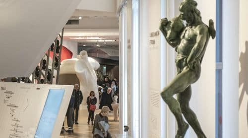 Musée de l'Homme: Entrada sin colas para adultos