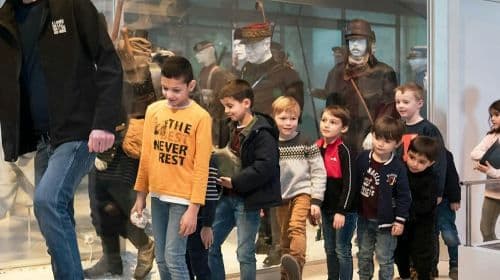 Musée de la Grande Guerre du Pays de Meaux: Entry Ticket Adult