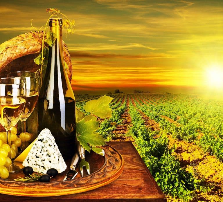 Degustação de Vinhos Orgânicos com Tour de Meio Dia em Saint Paul saindo de Nice