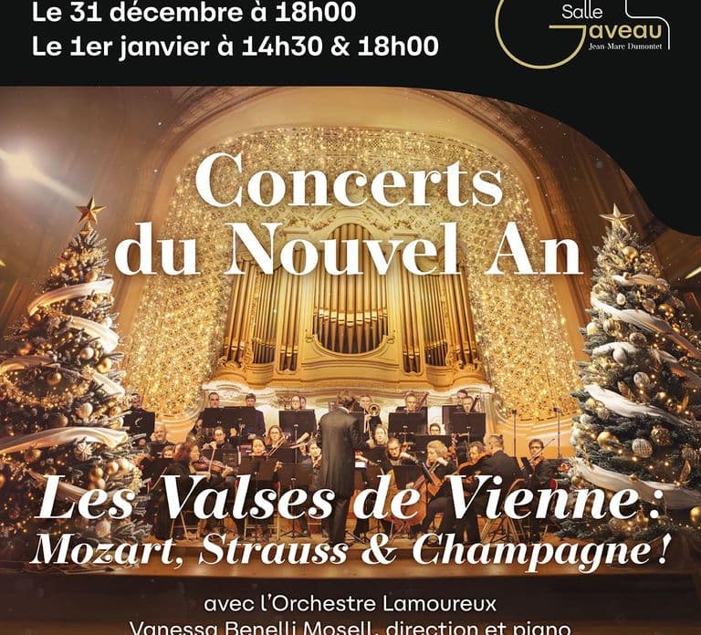 Paris: Experience an Exceptional New Year - Viennese Waltzes and Dinner at Gaveau
