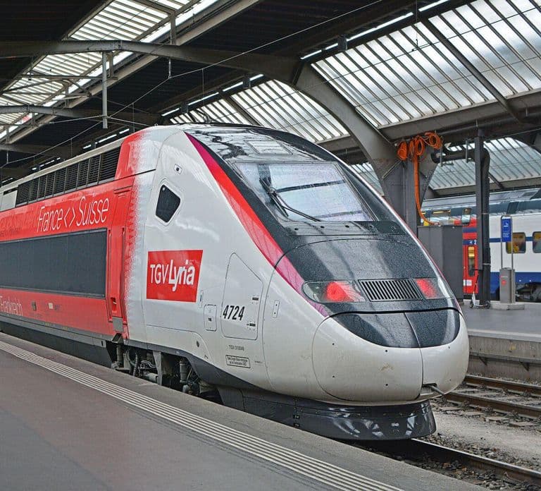 Paris: Private 1-Way Train Station to Hotel Transfer