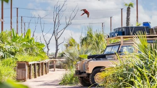 Parrot World: Annual Pass Child