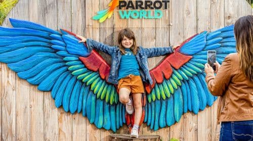 Parrot World: Day Ticket Child