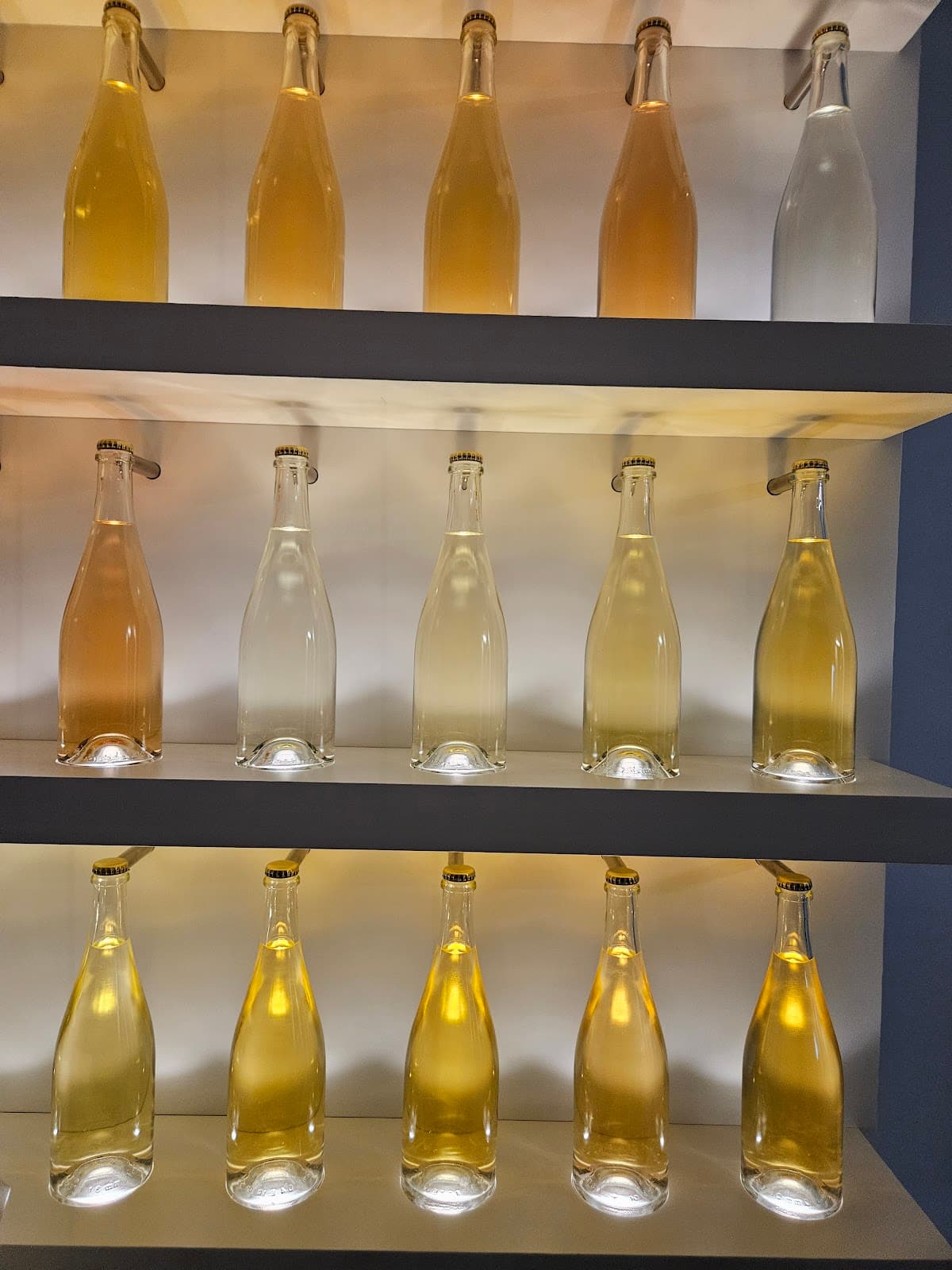 Pressoria - Voyage sensoriel au coeur du Champagne