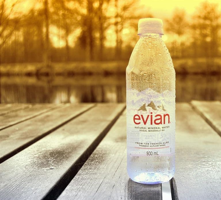 Prywatna całodniowa wycieczka: z Genewy do Evian les Bains, w języku angielskim