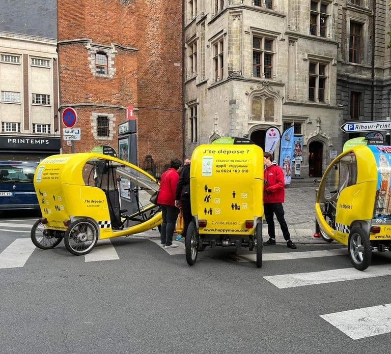 Privé rondleiding per elektrische fietstaxi