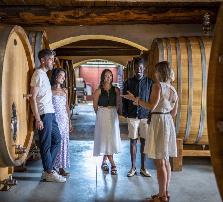 Provence Wine Tour - Small Group Tour from Cannes